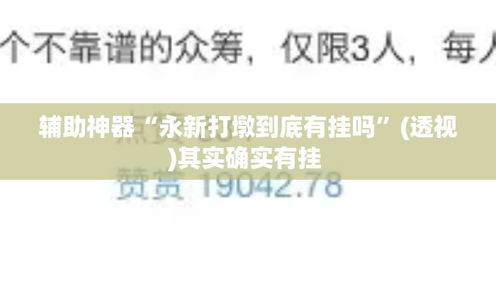 辅助神器“永新打墩到底有挂吗	”(透视)其实确实有挂 