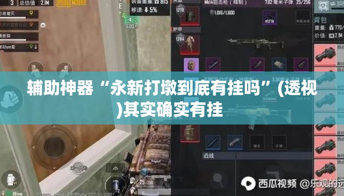 辅助神器“永新打墩到底有挂吗”(透视)其实确实有挂 