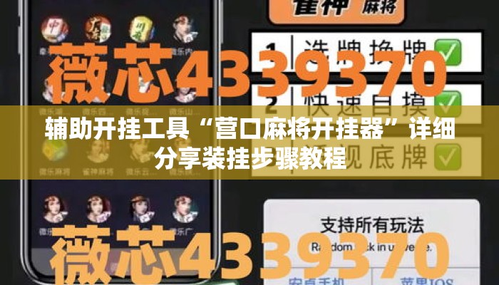 辅助开挂工具“营口麻将开挂器	”详细分享装挂步骤教程