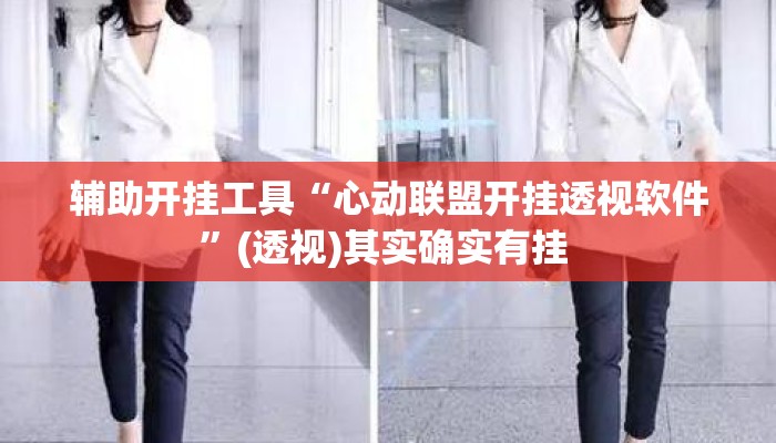 辅助开挂工具“心动联盟开挂透视软件”(透视)其实确实有挂 