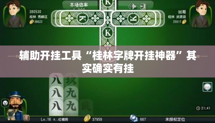 辅助开挂工具“桂林字牌开挂神器”其实确实有挂