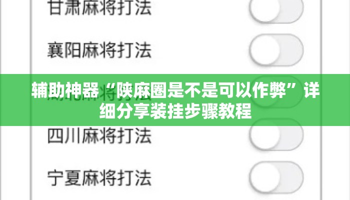 辅助神器“陕麻圈是不是可以作弊”详细分享装挂步骤教程