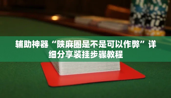 辅助神器“陕麻圈是不是可以作弊”详细分享装挂步骤教程