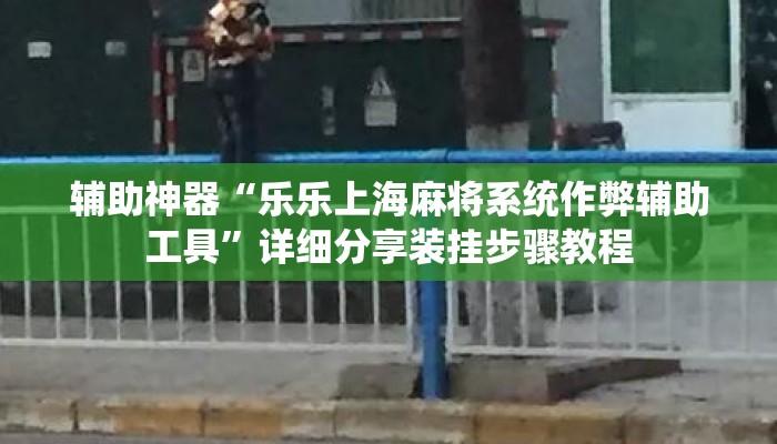 辅助神器“乐乐上海麻将系统作弊辅助工具”详细分享装挂步骤教程