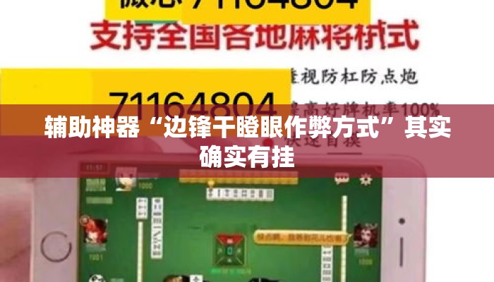 辅助神器“边锋干瞪眼作弊方式	”其实确实有挂