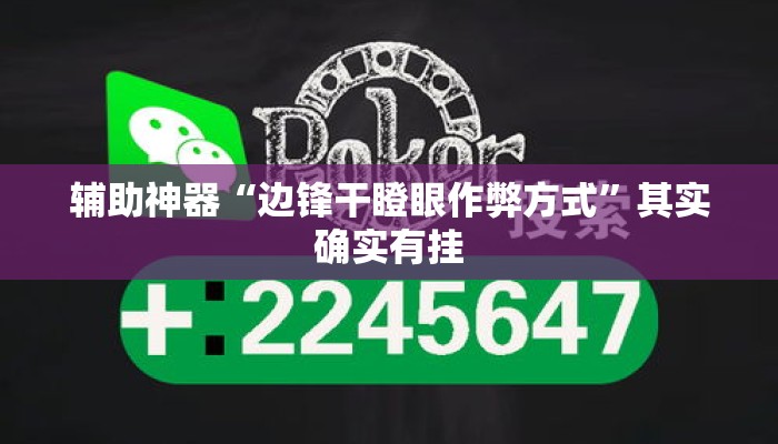 辅助神器“边锋干瞪眼作弊方式”其实确实有挂