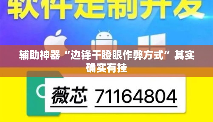 辅助神器“边锋干瞪眼作弊方式”其实确实有挂