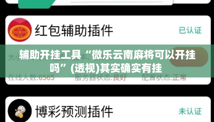 辅助开挂工具“微乐云南麻将可以开挂吗”(透视)其实确实有挂 
