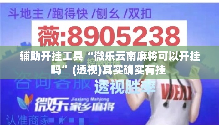 辅助开挂工具“微乐云南麻将可以开挂吗”(透视)其实确实有挂 