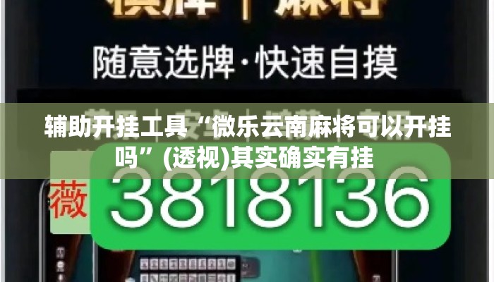 辅助开挂工具“微乐云南麻将可以开挂吗	”(透视)其实确实有挂 