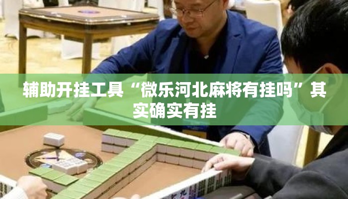 辅助开挂工具“微乐河北麻将有挂吗	”其实确实有挂