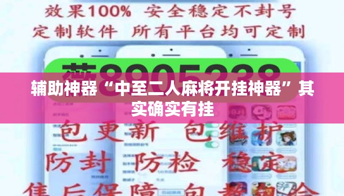 辅助神器“中至二人麻将开挂神器”其实确实有挂