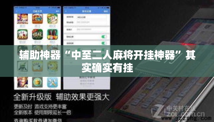 辅助神器“中至二人麻将开挂神器”其实确实有挂