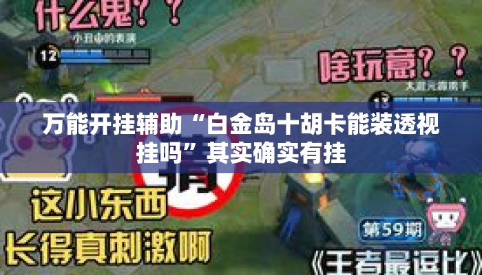 万能开挂辅助“白金岛十胡卡能装透视挂吗”其实确实有挂