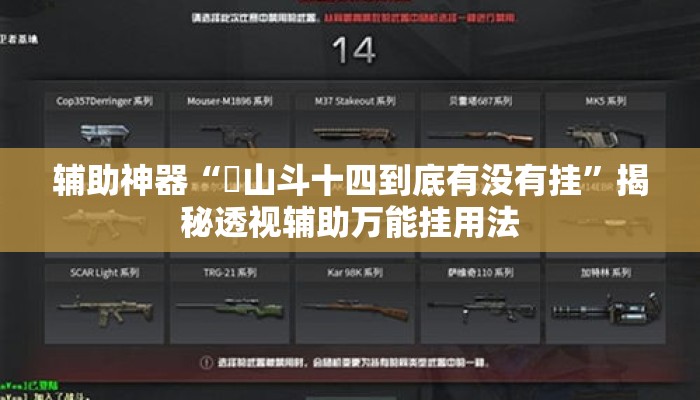 辅助神器“涼山斗十四到底有没有挂”揭秘透视辅助万能挂用法