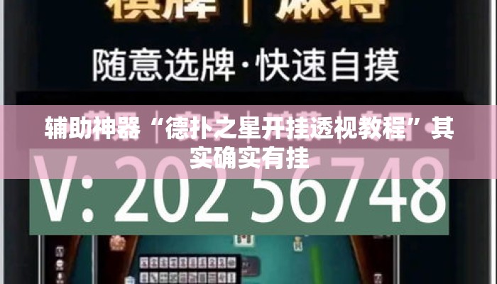 辅助神器“德扑之星开挂透视教程”其实确实有挂