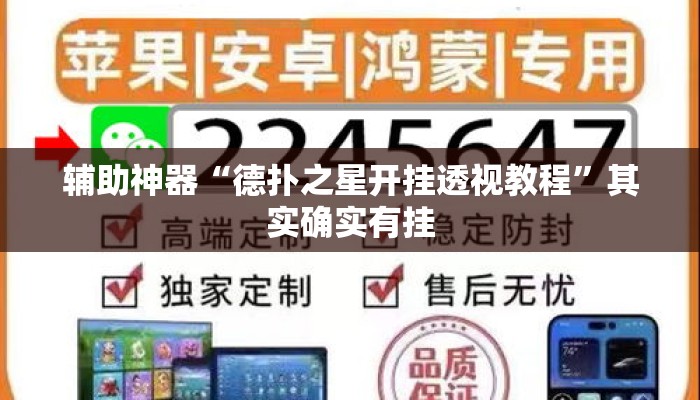 辅助神器“德扑之星开挂透视教程	”其实确实有挂