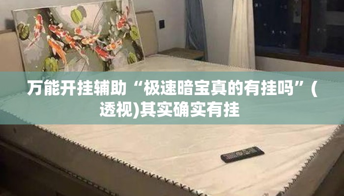 万能开挂辅助“极速暗宝真的有挂吗	”(透视)其实确实有挂 