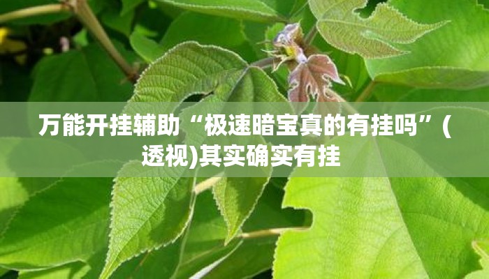 万能开挂辅助“极速暗宝真的有挂吗”(透视)其实确实有挂 