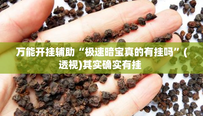 万能开挂辅助“极速暗宝真的有挂吗	”(透视)其实确实有挂 