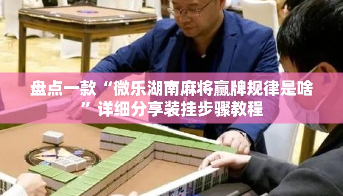 盘点一款“微乐湖南麻将赢牌规律是啥”详细分享装挂步骤教程