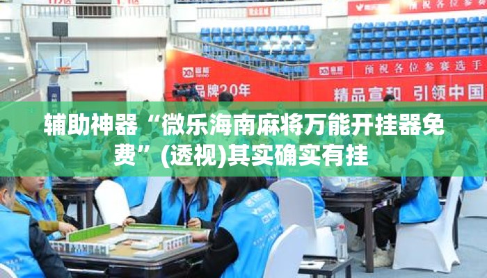 辅助神器“微乐海南麻将万能开挂器免费”(透视)其实确实有挂 