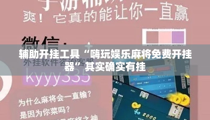 辅助开挂工具“嗨玩娱乐麻将免费开挂器	”其实确实有挂