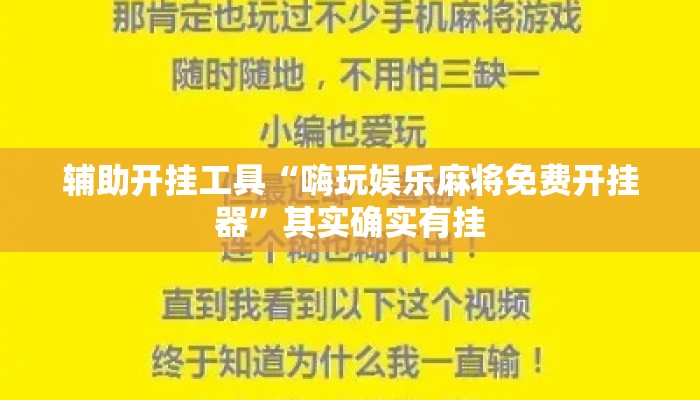 辅助开挂工具“嗨玩娱乐麻将免费开挂器	”其实确实有挂
