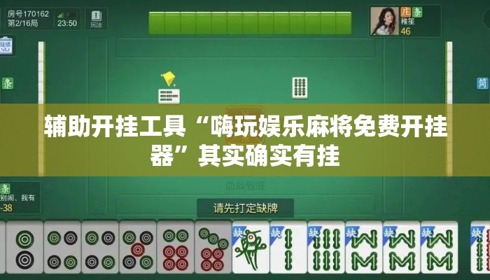 辅助开挂工具“嗨玩娱乐麻将免费开挂器”其实确实有挂