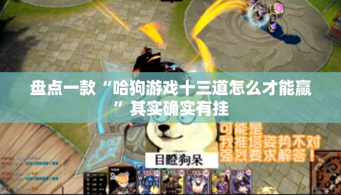 盘点一款“哈狗游戏十三道怎么才能赢”其实确实有挂