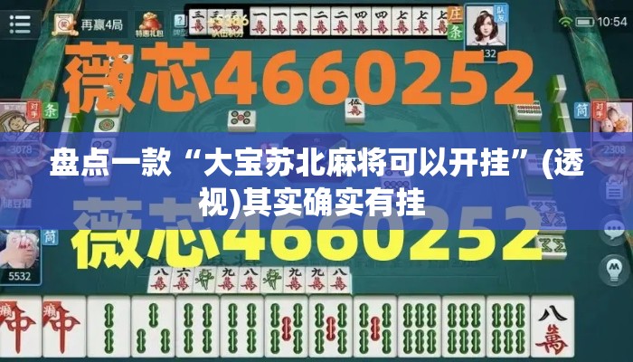 盘点一款“大宝苏北麻将可以开挂”(透视)其实确实有挂 