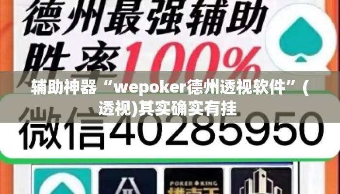 辅助神器“wepoker德州透视软件	”(透视)其实确实有挂 