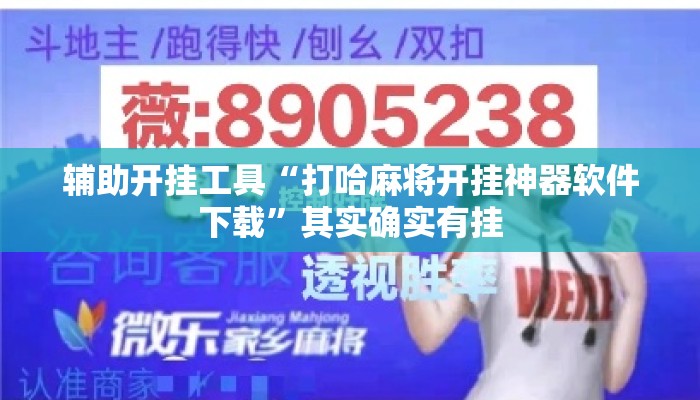 辅助开挂工具“打哈麻将开挂神器软件下载”其实确实有挂