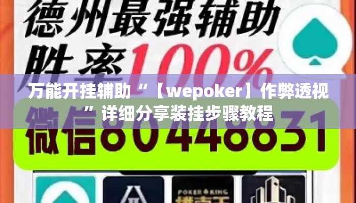 万能开挂辅助“【wepoker】作弊透视”详细分享装挂步骤教程