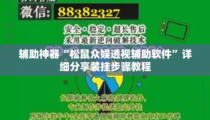 辅助神器“松鼠众娱透视辅助软件”详细分享装挂步骤教程