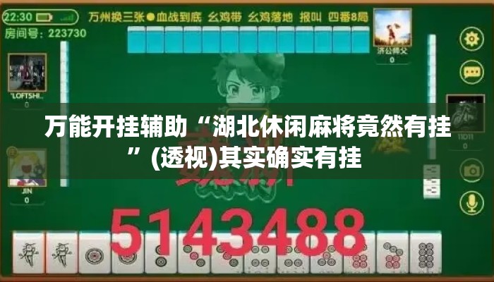 万能开挂辅助“湖北休闲麻将竟然有挂”(透视)其实确实有挂 