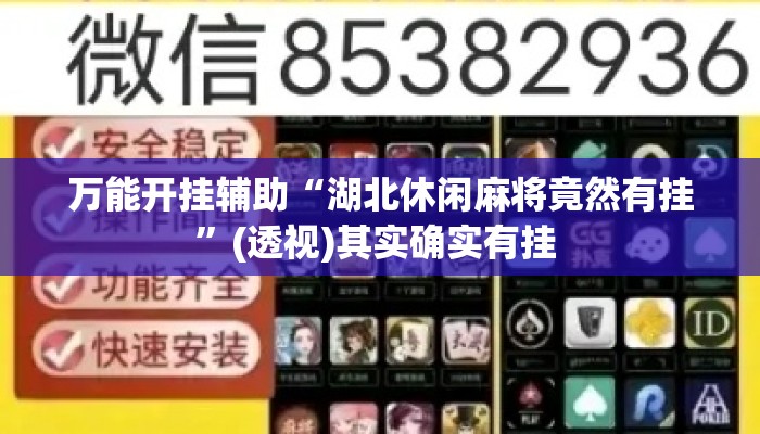 万能开挂辅助“湖北休闲麻将竟然有挂”(透视)其实确实有挂 