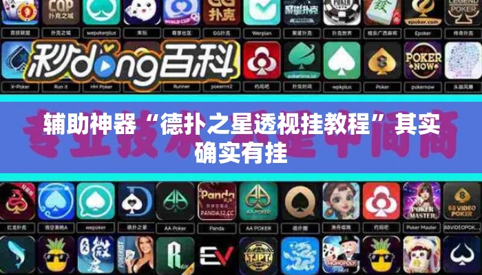 辅助神器“德扑之星透视挂教程	”其实确实有挂