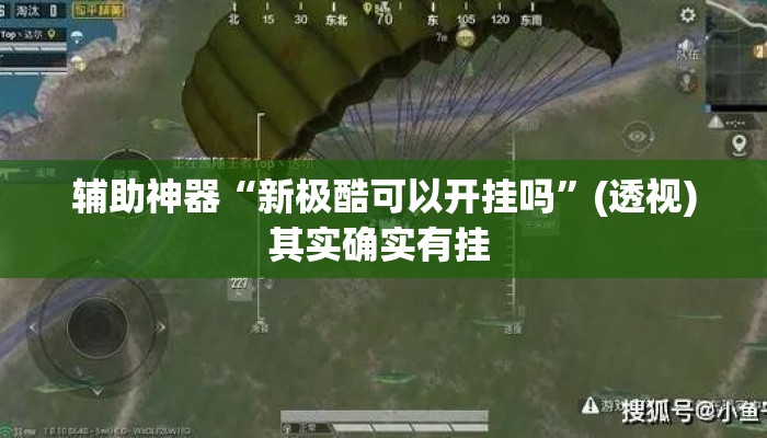 辅助神器“新极酷可以开挂吗”(透视)其实确实有挂 