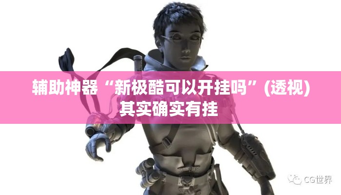 辅助神器“新极酷可以开挂吗”(透视)其实确实有挂 