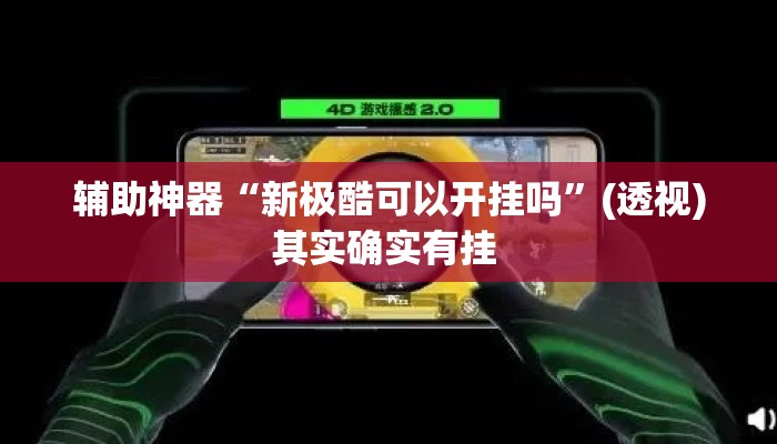 辅助神器“新极酷可以开挂吗”(透视)其实确实有挂 