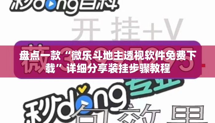 盘点一款“微乐斗地主透视软件免费下载”详细分享装挂步骤教程