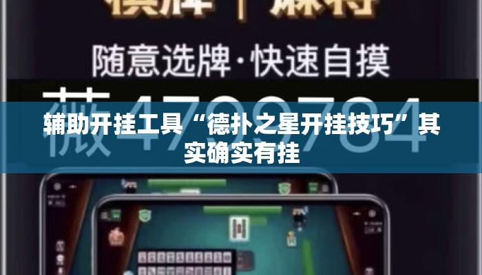 辅助开挂工具“德扑之星开挂技巧	”其实确实有挂