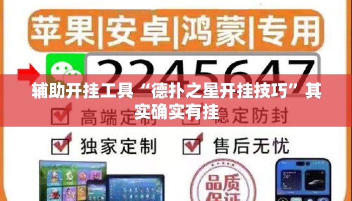 辅助开挂工具“德扑之星开挂技巧”其实确实有挂