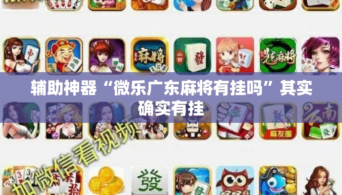 辅助神器“微乐广东麻将有挂吗”其实确实有挂