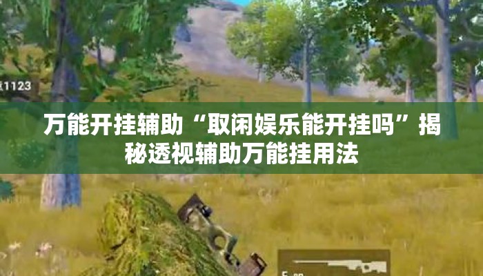 万能开挂辅助“取闲娱乐能开挂吗	”揭秘透视辅助万能挂用法