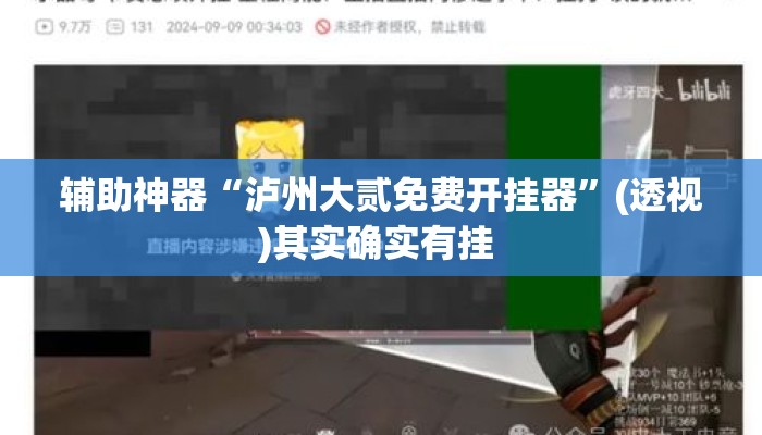 辅助神器“泸州大贰免费开挂器”(透视)其实确实有挂 