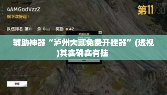 辅助神器“泸州大贰免费开挂器”(透视)其实确实有挂 