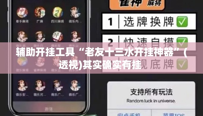 辅助开挂工具“老友十三水开挂神器	”(透视)其实确实有挂 