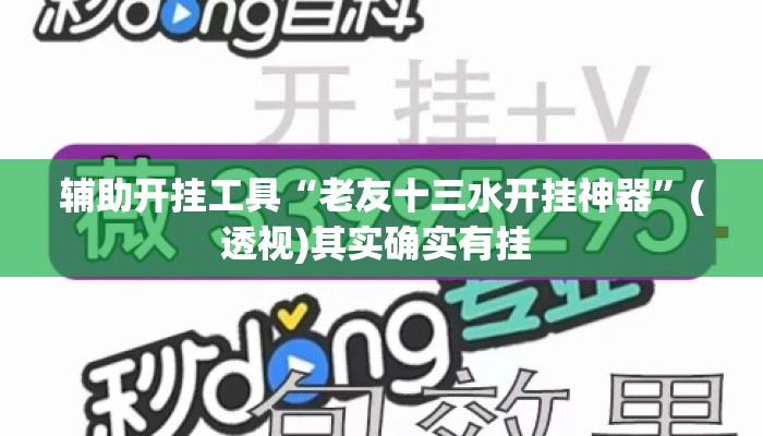 辅助开挂工具“老友十三水开挂神器”(透视)其实确实有挂 